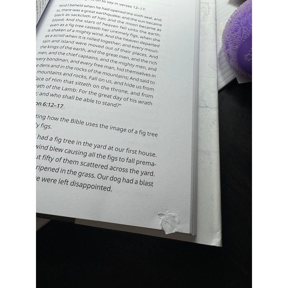 The Last Book A Guide to Revelation Part One James Kaddis End Times Rapture - Picture 5 of 7